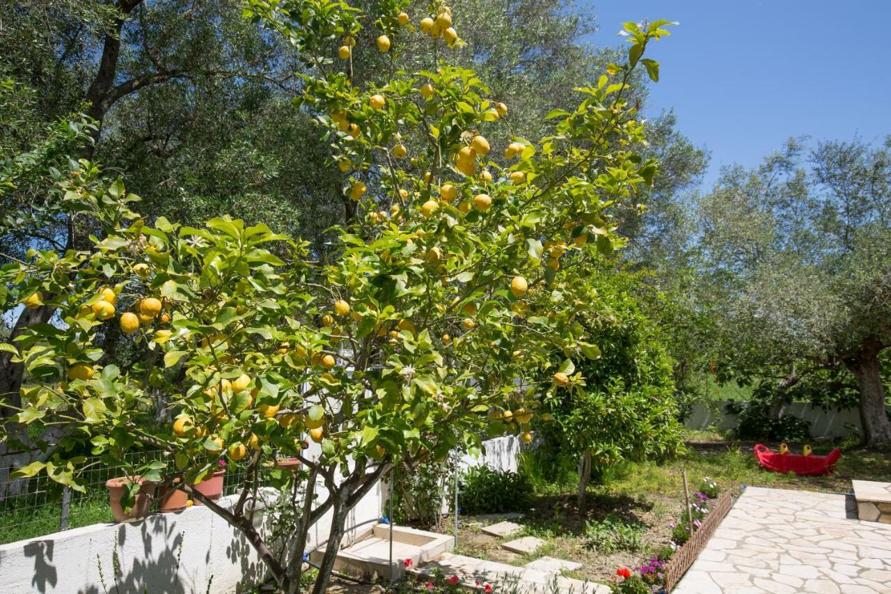 Karia Holiday Home Lefkimmi  Bagian luar foto